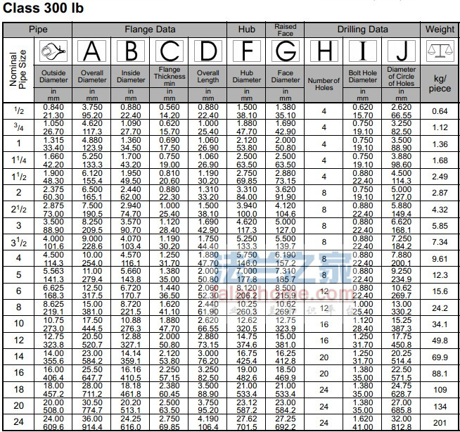 ANSI B16.5 SO 300lbƽ׼